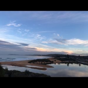 Meet your Posher, Cedar